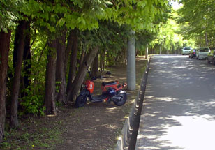 �ڱ��Ǽ�ͤ��Ԥ�Zoomer�����