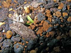 �פ�Ƥ������դǤ������ޤ�