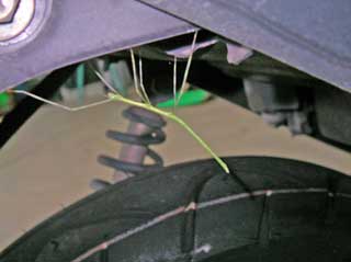 �ʥʤ���(;������)�ϥ��ϥ�