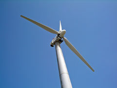 ���ҤȤĤʤ��Ķ��ˤ��ä���Ω�����֤Ϥۤ�Ȥ˳��ˤʤ�Τ�