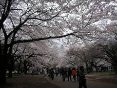 �����ˤ����ޤ��