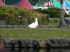 �������ҥ�