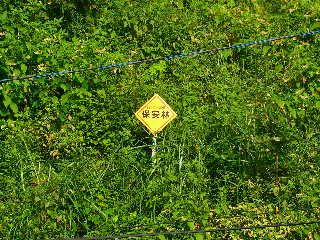 �����������Ĥ�Ω�Ĥ褦�ʤ�����