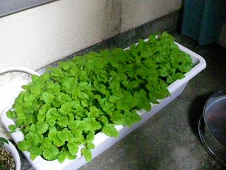 �դ�����Τ��᤯�ʤ�Ȥ����ʤ��Ȥ����ʤ��������