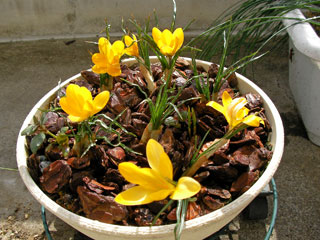 ��ǯ�Ϲ����ʲ����β֤ε庬��·����줿�ΤǤ���äȴ򤷤�