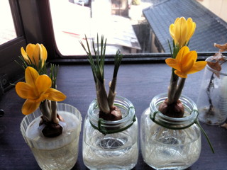 �����å����餤��