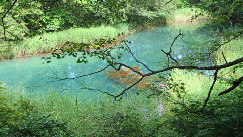 One of the �޿���s