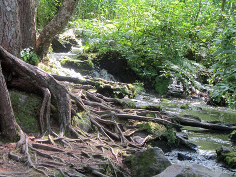 õ��ϩ�褤�ξ�����줤